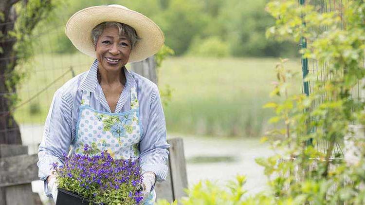 戴着帽子的女人在花园里捧着植物