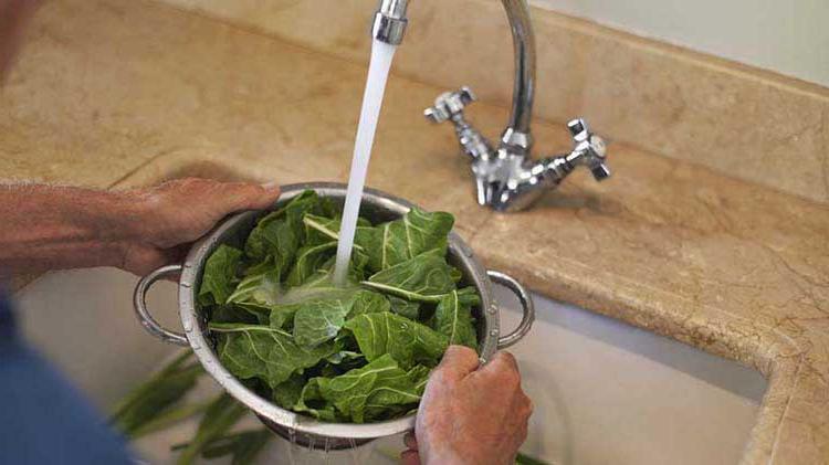 用滤器用厨房水槽里的自来水冲洗蔬菜